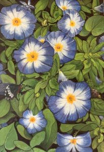 Diskussion in Blau (Blaue Blumen), 130x90 cm, 2017, Öl auf Leinwand Tatjana Meier